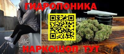 сатива Краснокаменск