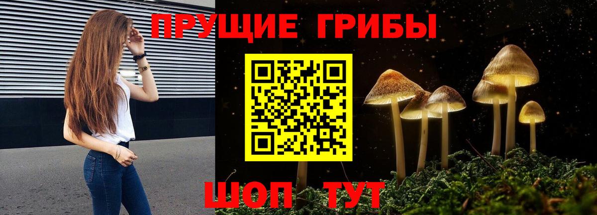 Касимов  наркошоп  Вход с VPN  Галлюциногенные грибы Psilocybine cubensis 